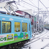 たけのこの里も雪景色