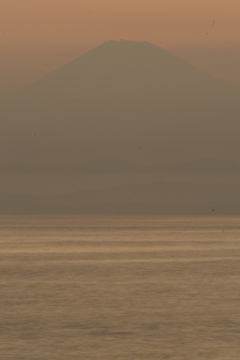 黄昏後の富士山 森戸海岸にて 7/10 DSC02058