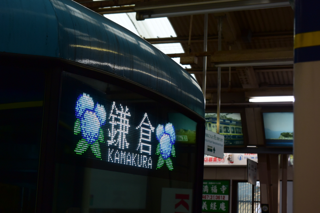 江ノ電 紫陽花ヴァージョン 2016 5/19 DSC_2850