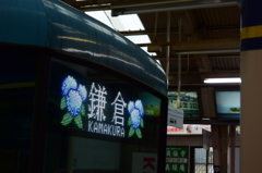 江ノ電 紫陽花ヴァージョン 2016 5/19 DSC_2850