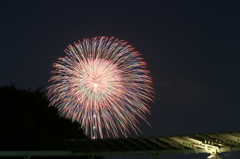 神奈川新聞花火大会 港の見える丘公園 8/4 DSC04033