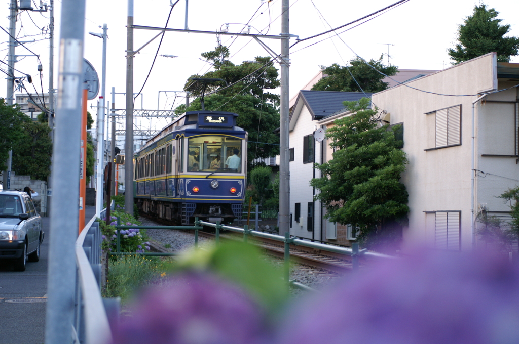途中下車のぶら散歩② 6/1　江ノ電と紫陽花　PICT2555