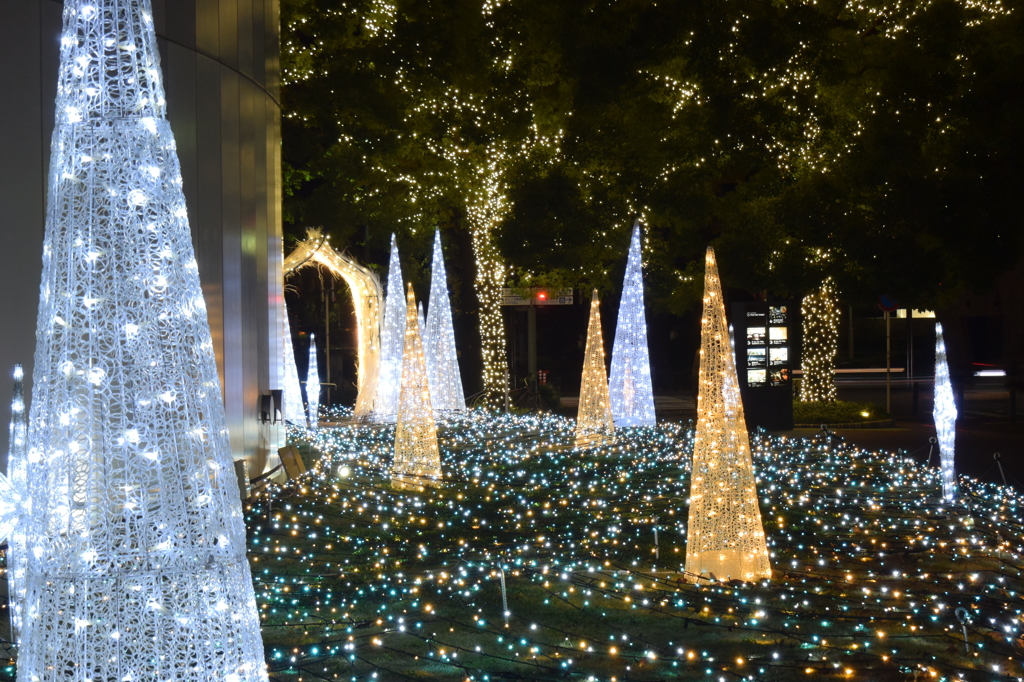 横浜マリンタワー イルミネーション 2015 11/30 DSC_2099