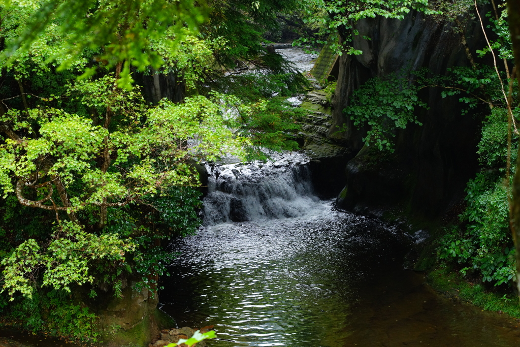 濃溝の滝～清水渓流広場～