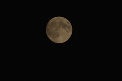 中秋の名月 9/27 DSC_1913