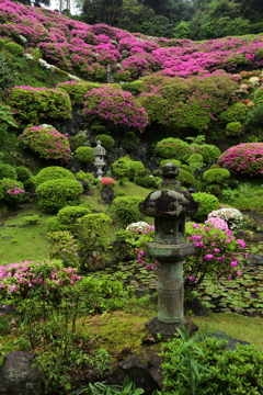 ぶらっと笛田 仏行寺 2016 4/28 DSC_0420