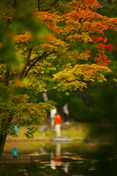 小さい秋 ぶら散歩 昭和記念公園 2015 10/10 DSC08170