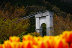 秦野戸川公園 風の吊橋 2016 4/9 DSC08124