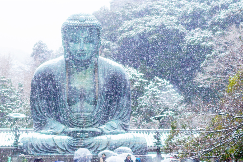 春の雪と長谷の大仏 ③