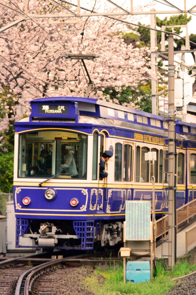 ぶらっと途中下車～春の鵠沼～⑥