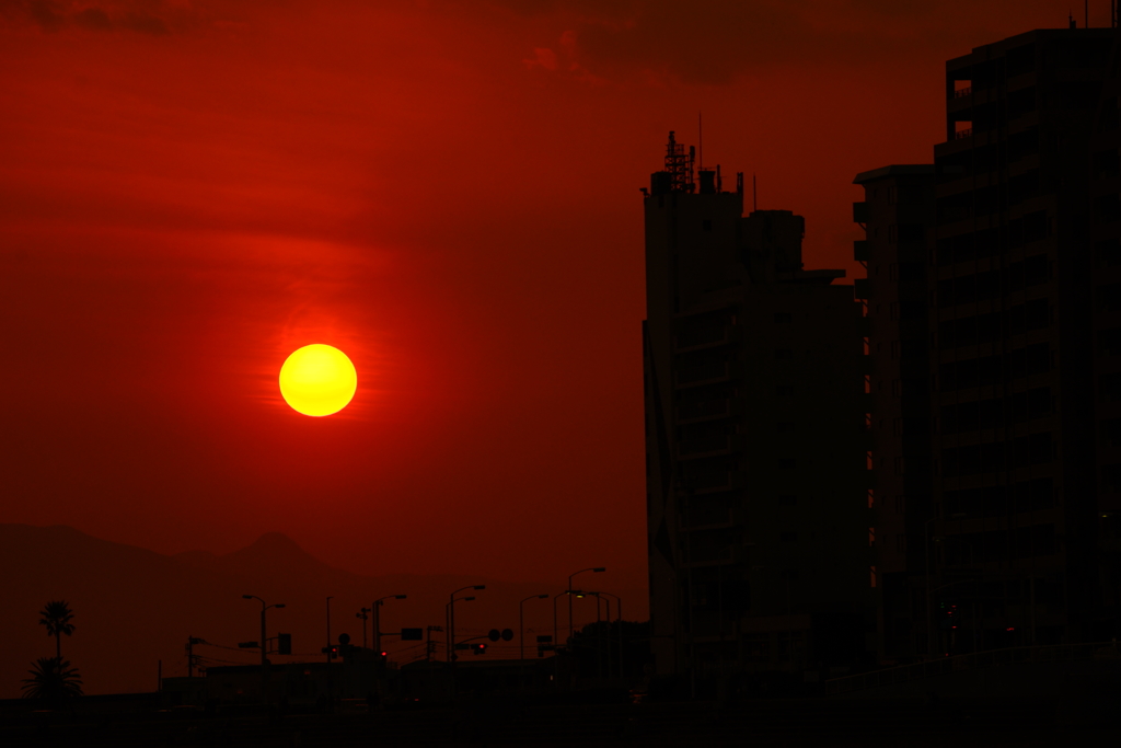 春霞の夕陽 ②