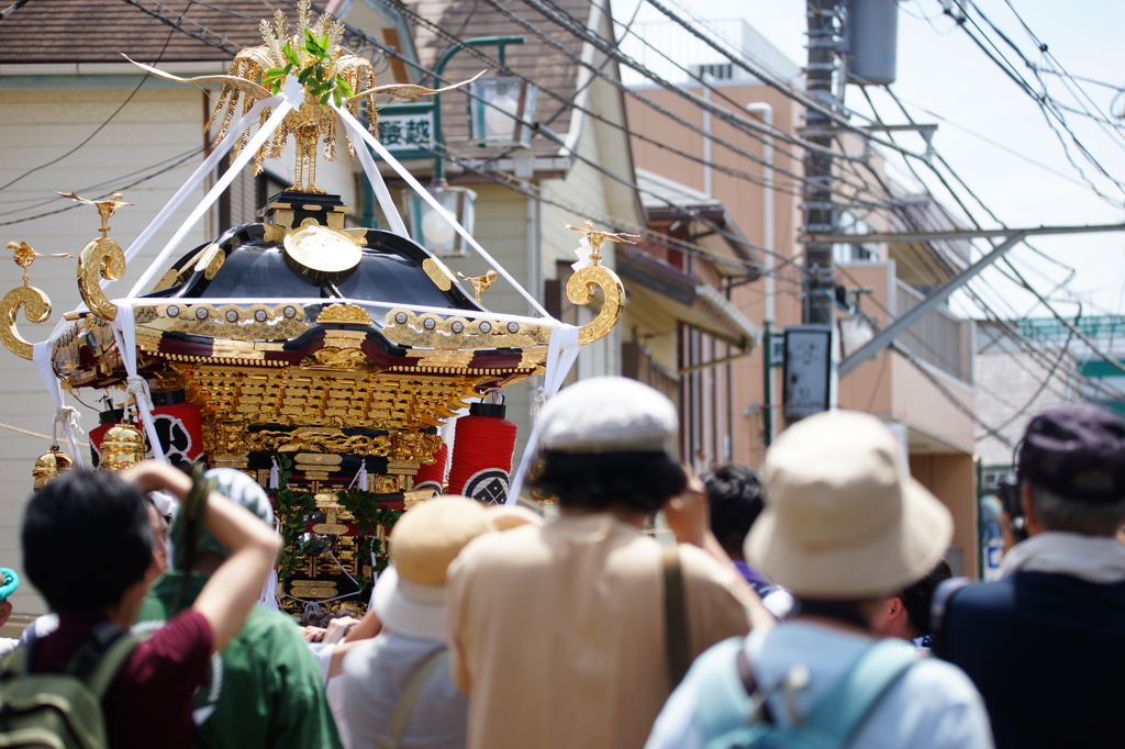 腰越 小動神社天王祭 2016 7/10  DSC05454