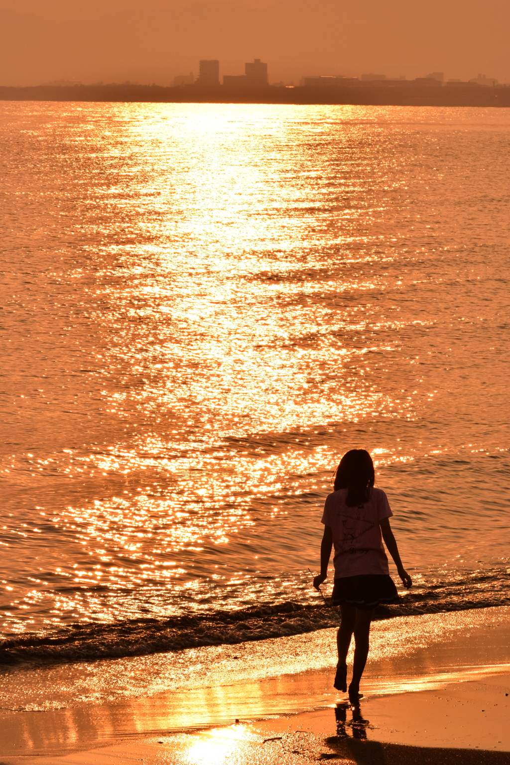 早くも真夏日 2016 5/23 DSC_2568