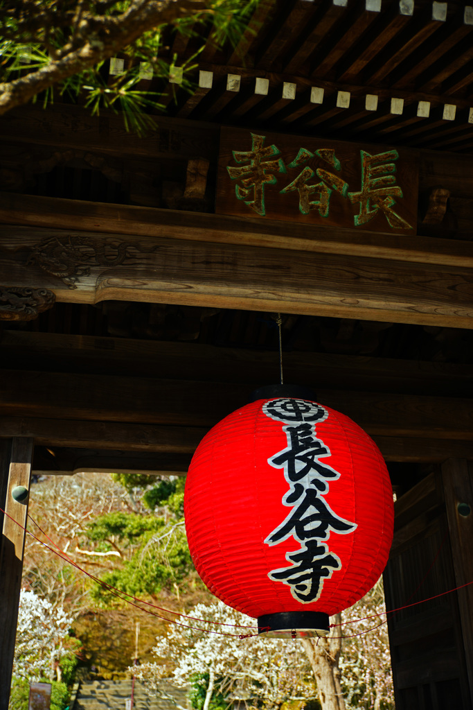 春の訪れ～梅咲く長谷寺 ②