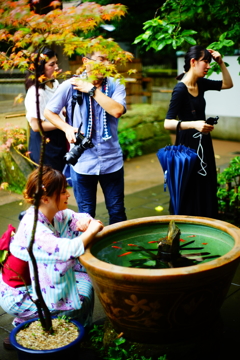 浴衣美人と金魚 報国寺 2016 8/20 DSC08133