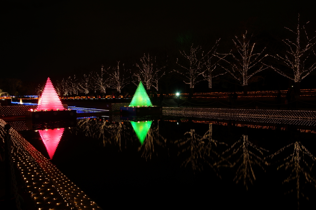 国営昭和記念公園 Winter Vista Illumination 2015 