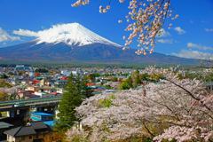 みんな桜と富士山が好き…③