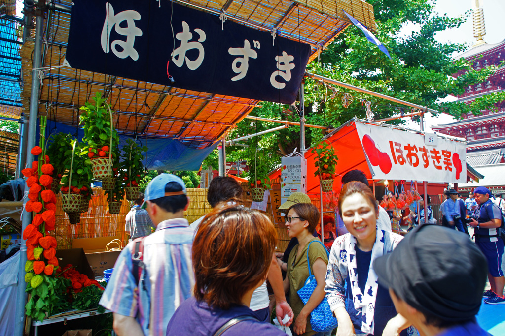 浅草寺～鬼灯市散策 ⑬
