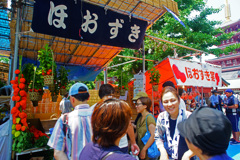 浅草寺～鬼灯市散策 ⑬