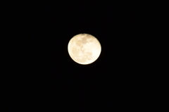 16番目の月 2016 1/26 DSC_2118
