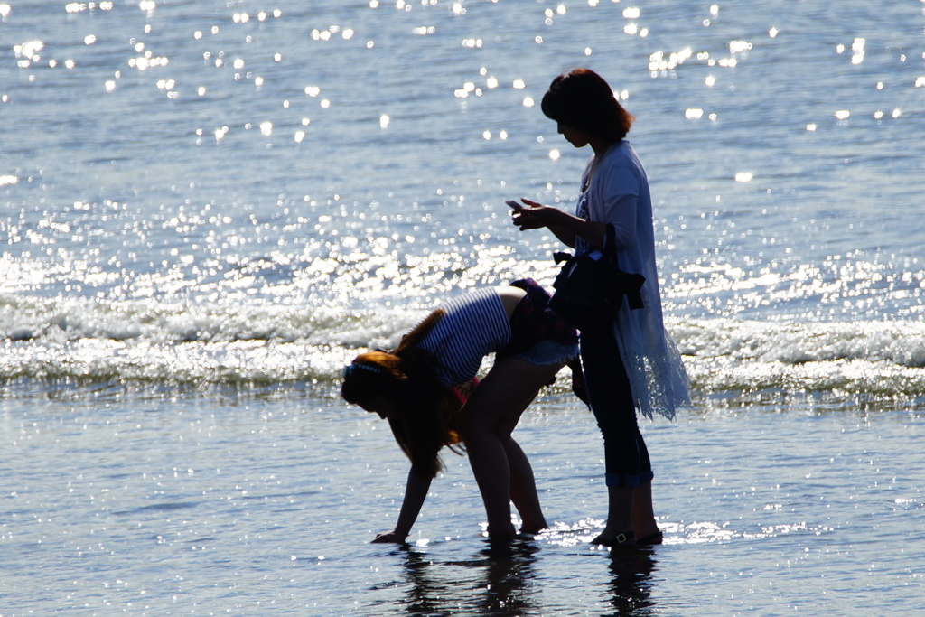 夏の陽射しの中で… 2016 7/31 DSC06737
