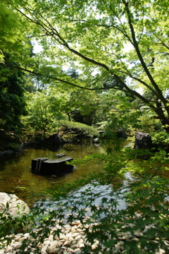 寒川神社 神嶽山神苑 2016 5/15 DSC02106