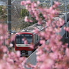 PICT0622