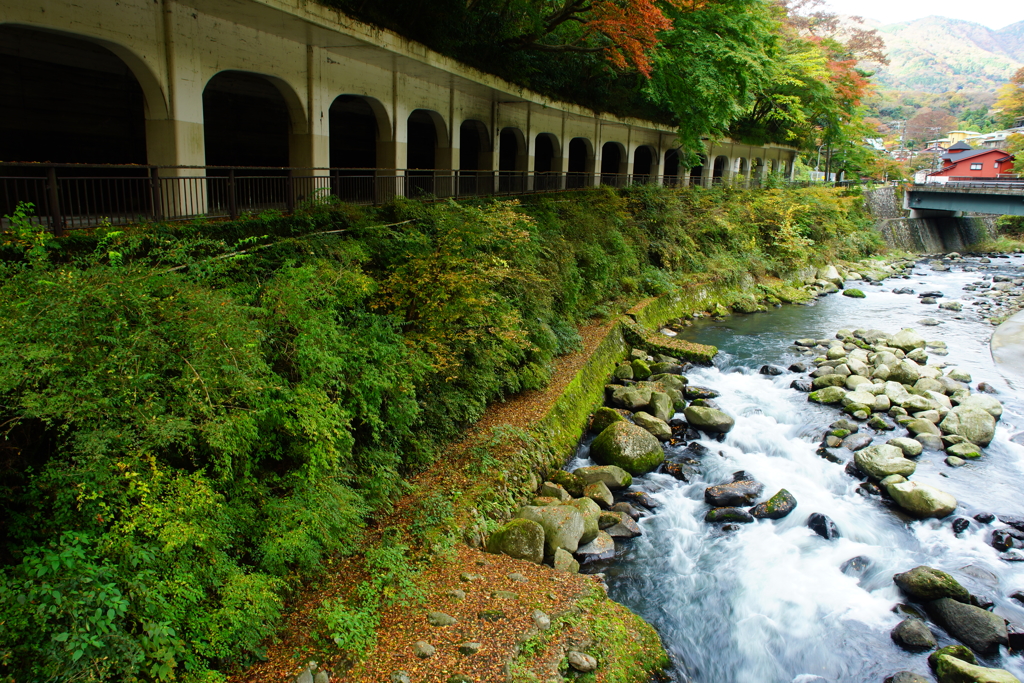 錦秋箱根の函嶺洞門