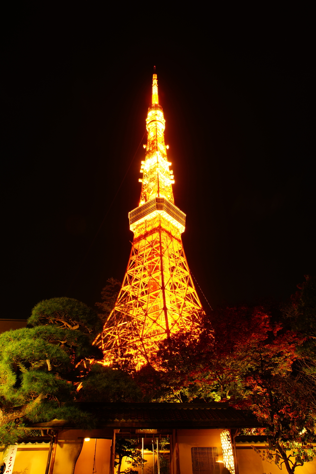 晩秋の東京タワー
