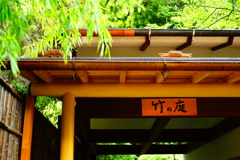 報国寺 拝観 2016 8/20 DSC08154