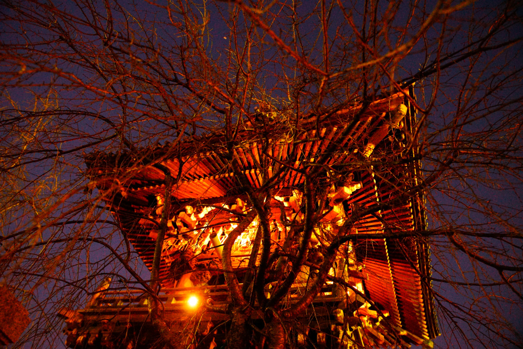 柴又帝釈天の夜…①