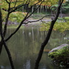 庭園の秋模様