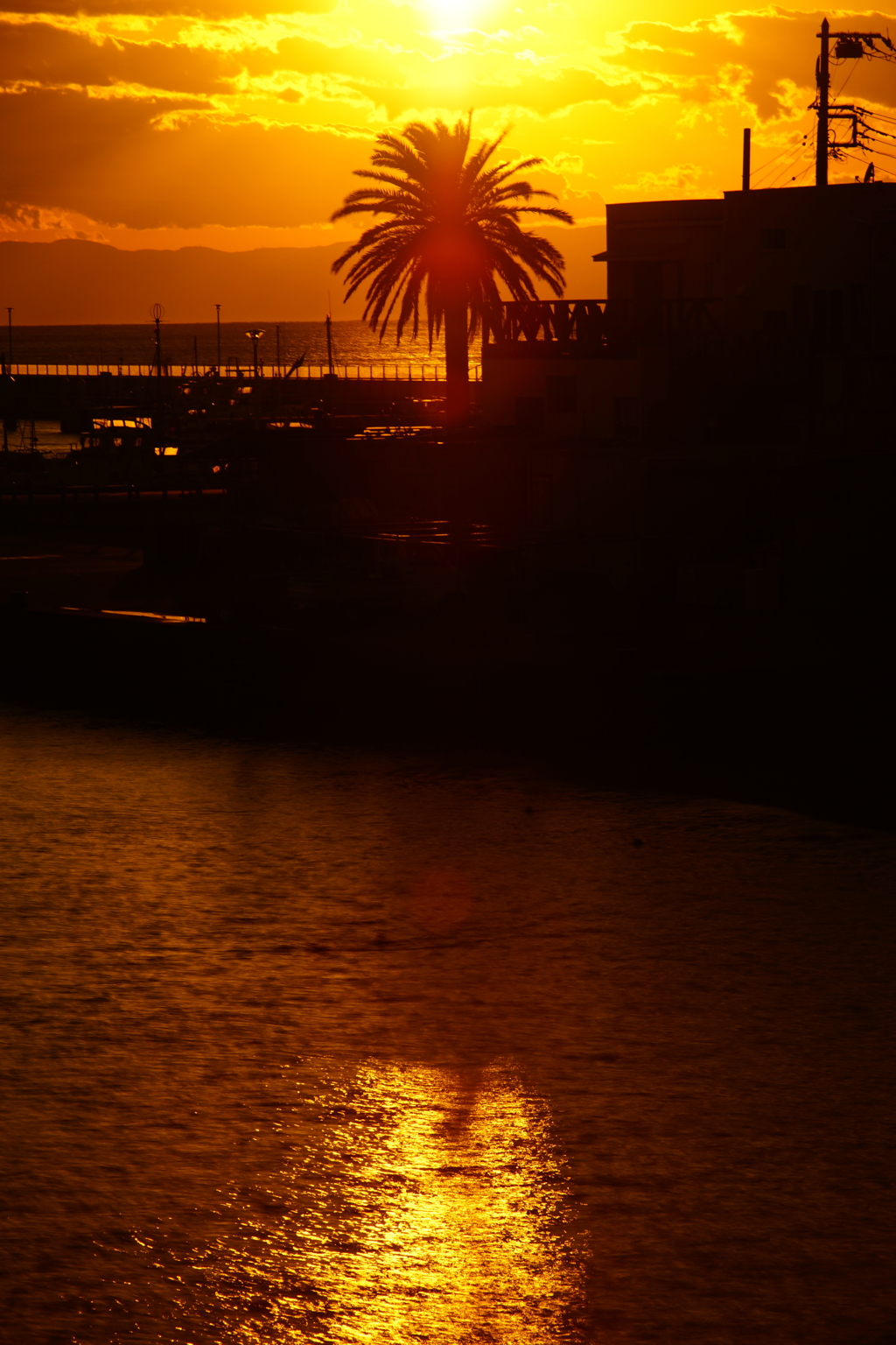 夕陽を浴びて