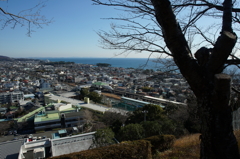 吾妻山 菜の花 ウォッチング 2016 1/9 DSC04297