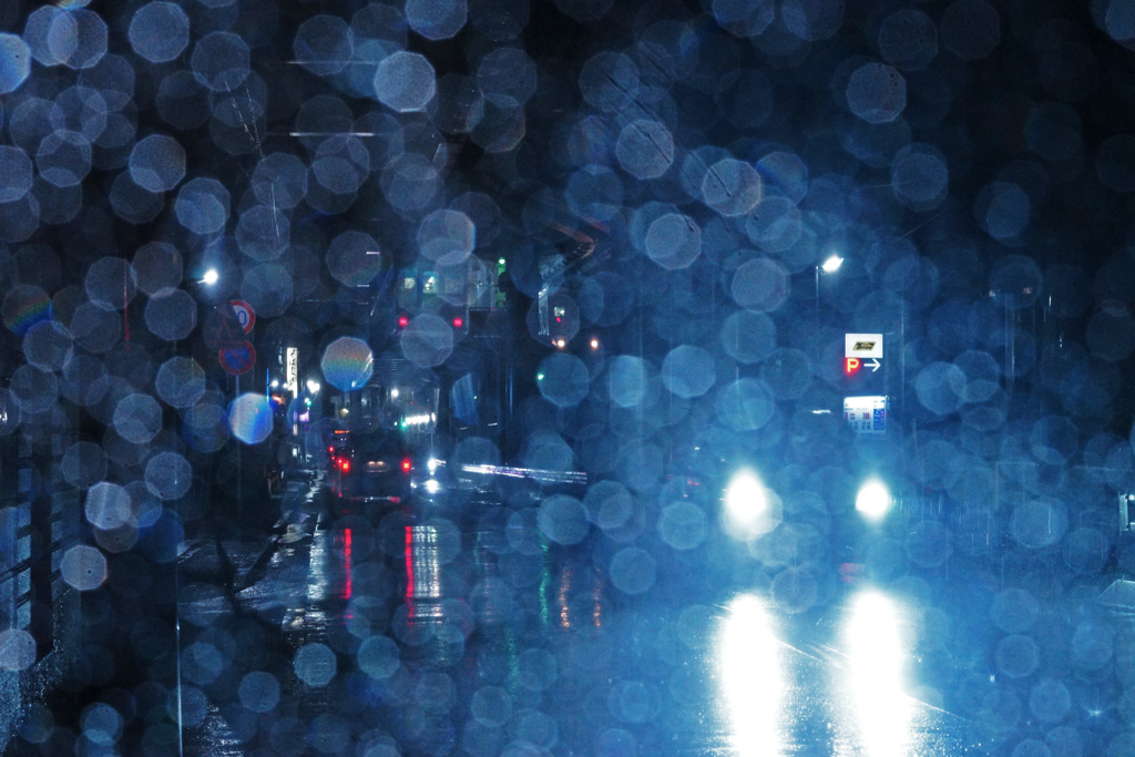 9月の雨～湘南モノレール～②