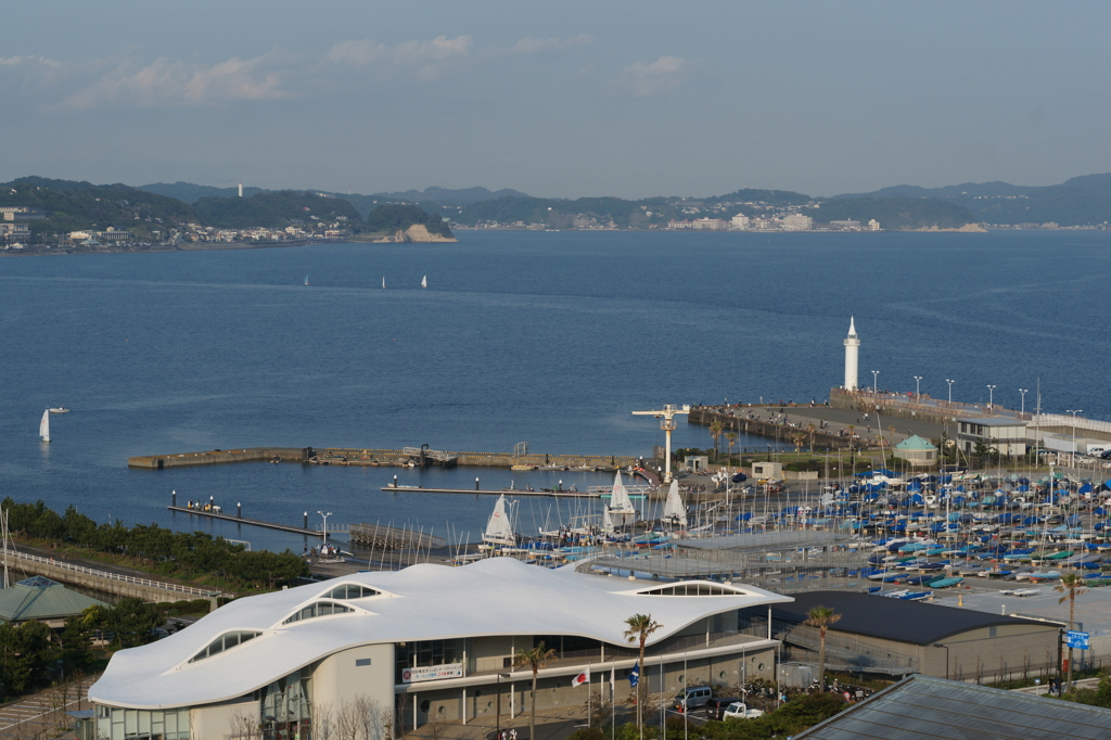 夕刻の江の島へ 2016 5/21 DSC08791
