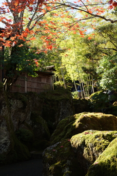 箱根美術館 ぶら散歩 2015 11/21 DSC01653