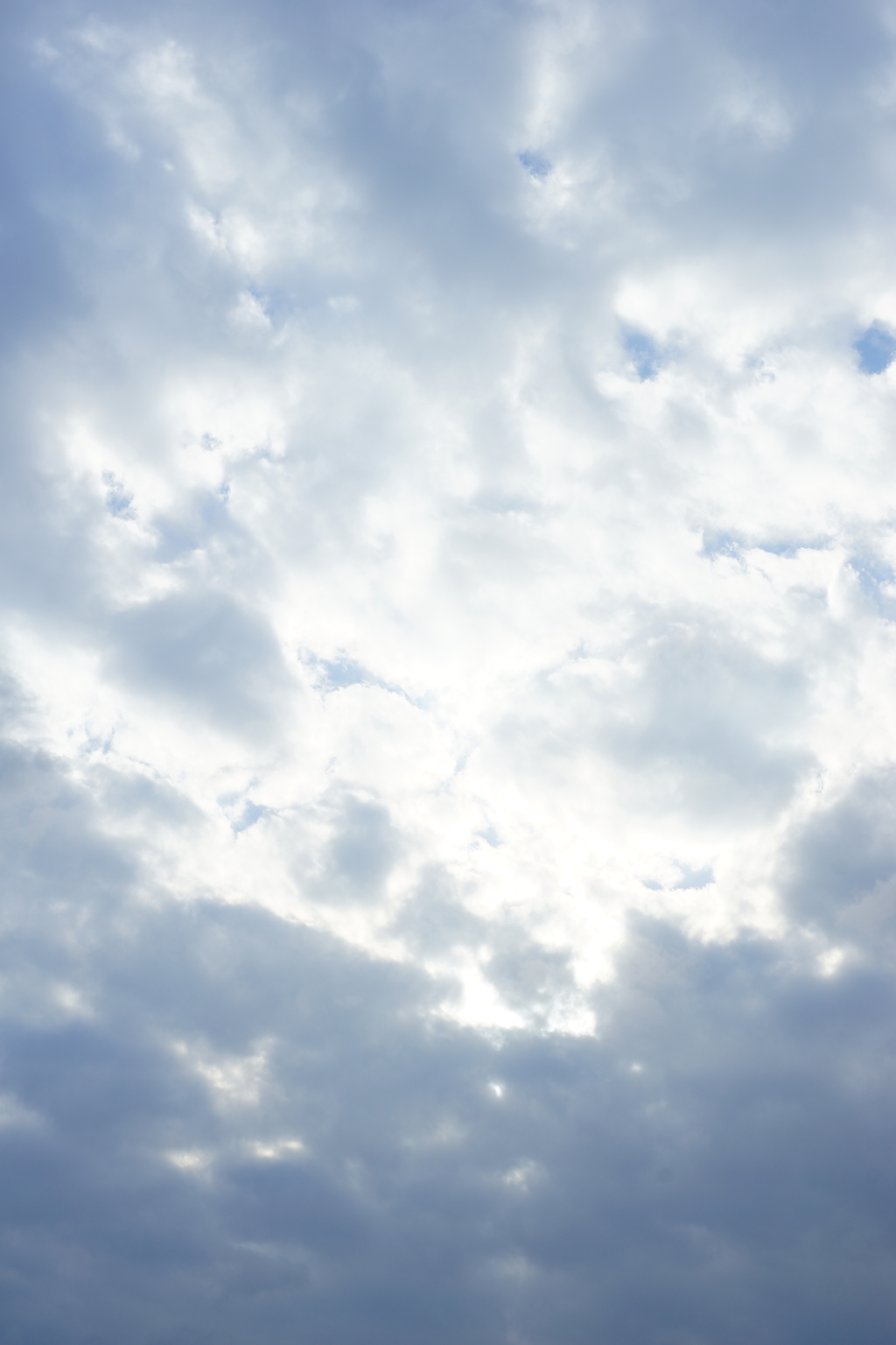 浮かない空 2016 3/21 DSC06954