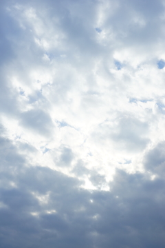 浮かない空 2016 3/21 DSC06954