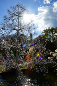 七色に煌くクリスマスツリー～箱根ガラスの森美術館～