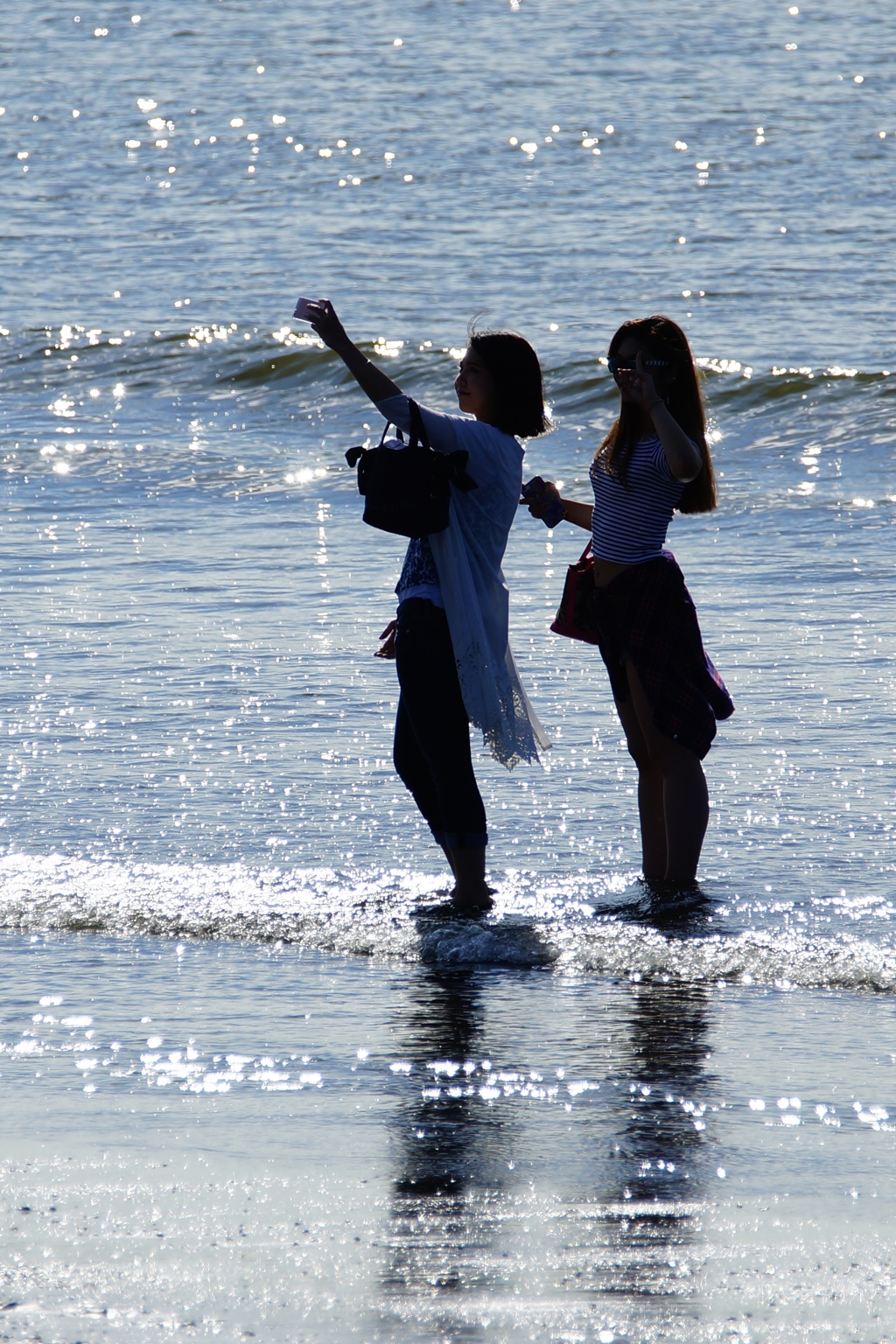 夏の陽射しの中で… 2016 7/31 DSC06652
