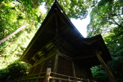 神秘的な苔寺～妙法寺～⑫