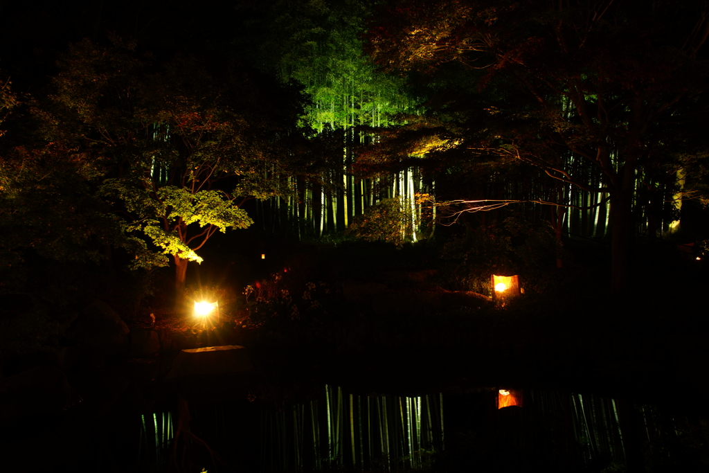幻想的な光景 水鏡 ～大磯城山公園～
