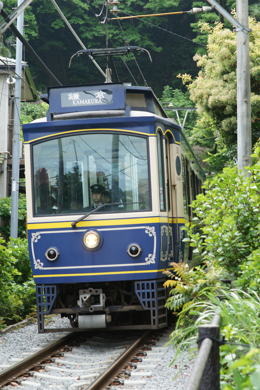 鎌倉を歩く 2016 5/3 DSC07663