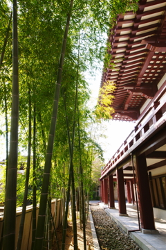 増上寺 2016 3/27 DSC04345