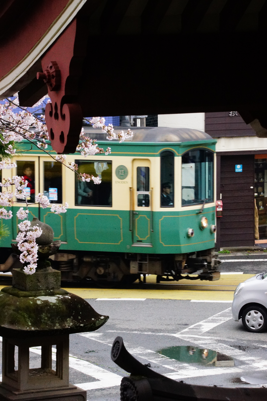 満開の桜と江ノ電 龍口寺ぶら散歩 2016 4/2 DSC07840