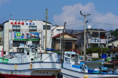 炎天下のぶら散歩 腰越漁港 8/14 DSC05221