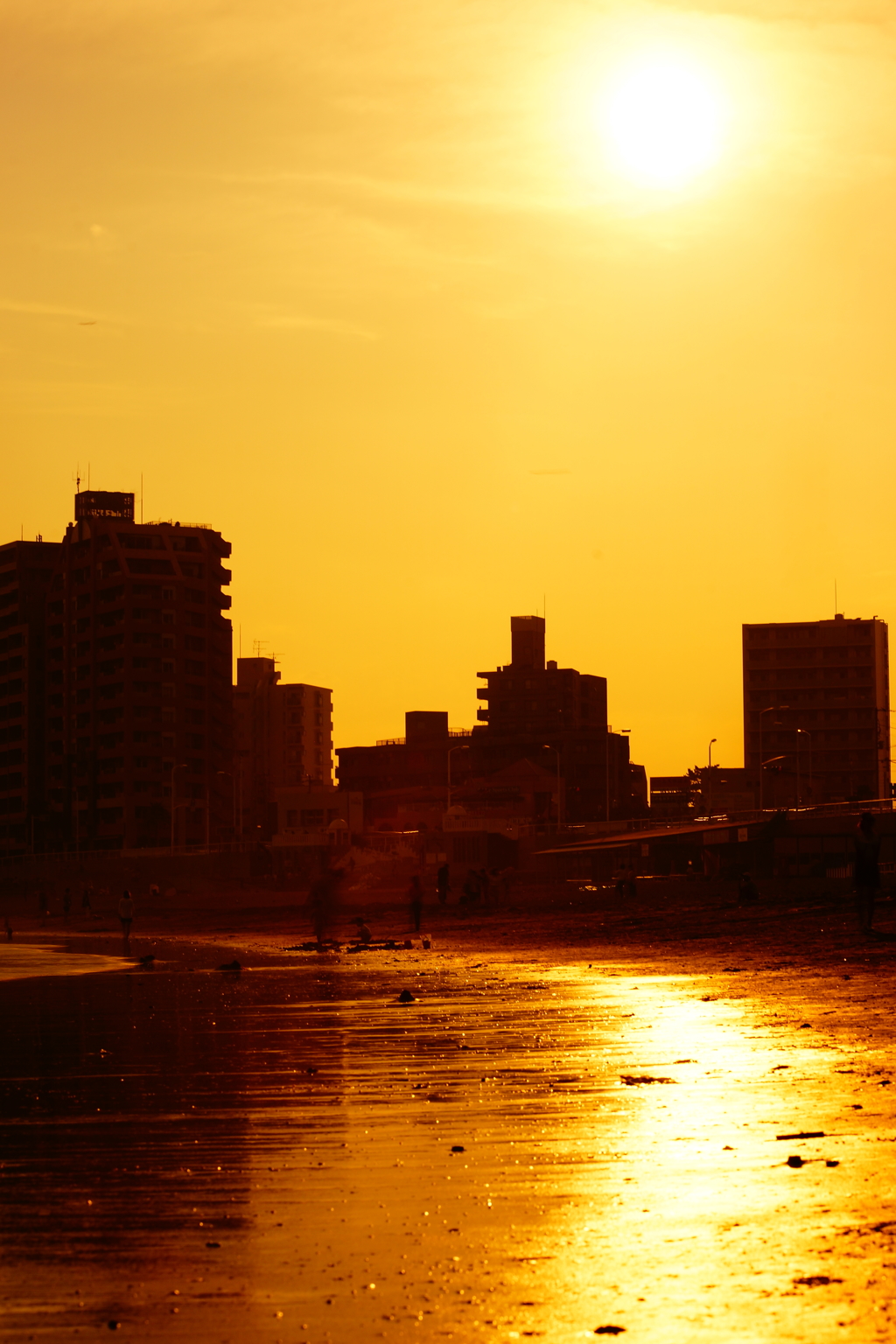 太陽の光の中で 2016 6/26 DSC04185