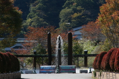 ぶら散歩 神奈川県立あいかわ公園 2015 11/3 DSC09751