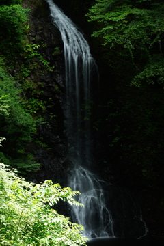 大仙の滝 2016 8/18 DSC07674